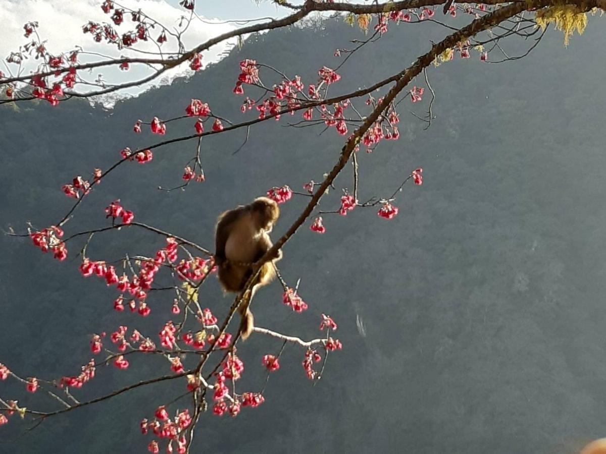 慢水山丘民宿 Slow Water Hill Yuemei Kültér fotó
